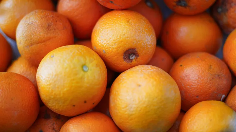 Oranges by Waqas ilyas - available in Pexels.com