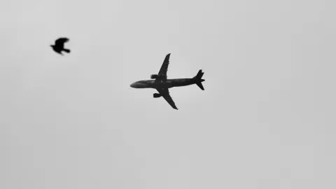 Flight by Efrem Efre - available in Pexels.com