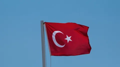 Turkish flag, by  Doğan Alpaslan Demir 