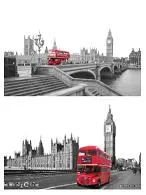 busses