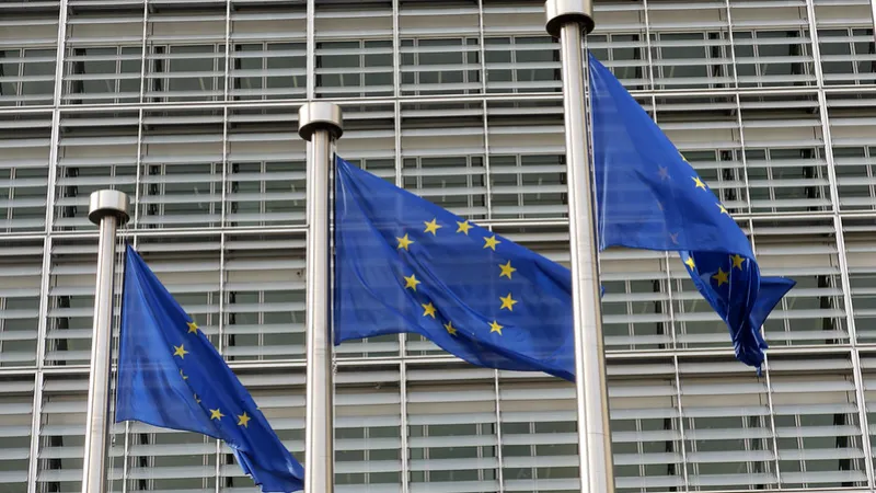 EU flags