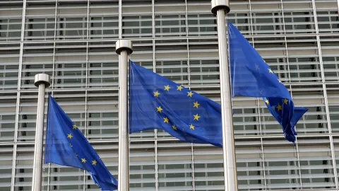 EU flags