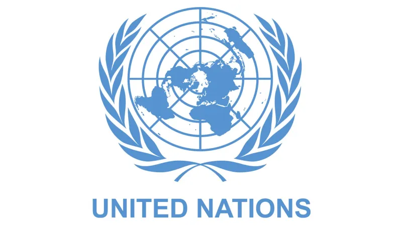 United Nations academia