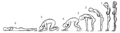 different_kinds_of_bows_in_eo
