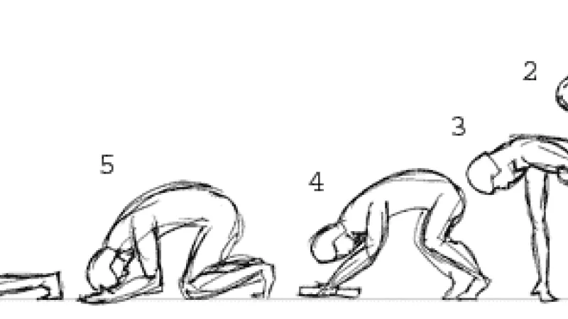 different_kinds_of_bows_in_eo