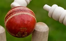 cricket