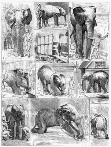 picture1-3
