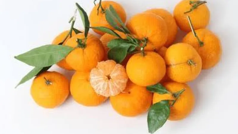 mandarins
