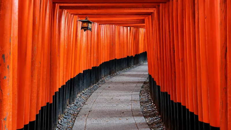 A stone path curves through vermilion torii gates at Fushimi Inari Taisha in Kyoto, Japan.