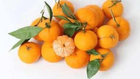 mandarins