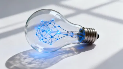 lightbulb