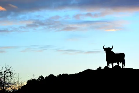 “TORO vs. BADTORO”: Head to head in a Spanish bullfight | Kluwer ...