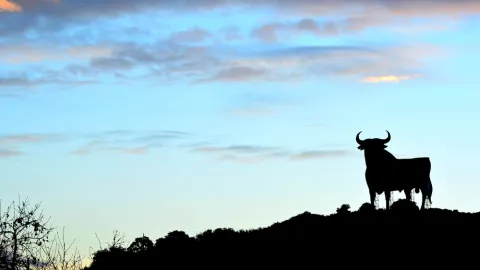 shutterstock_260231855