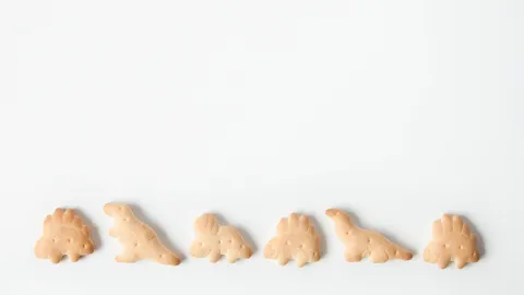 crackers-baby-cookies-dinosaurs-on-a-white-background