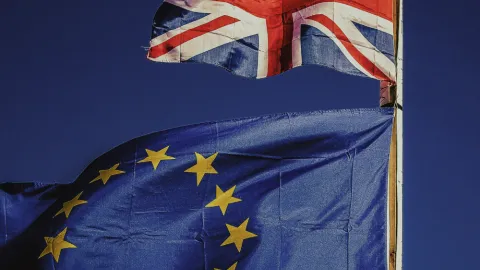 Brexit flags